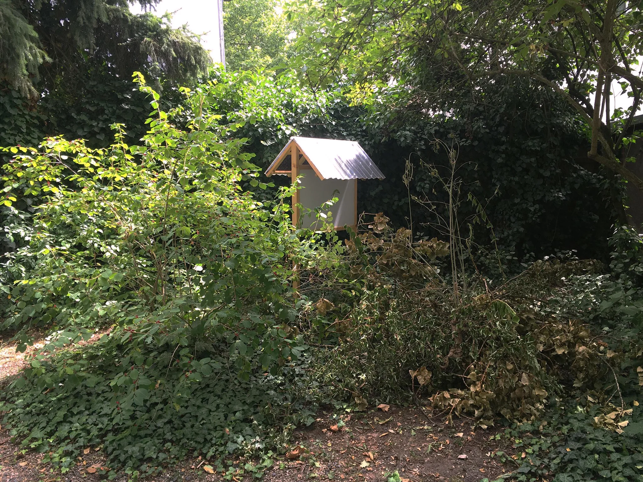‘trap’, at Städelschule garden in spring 2018