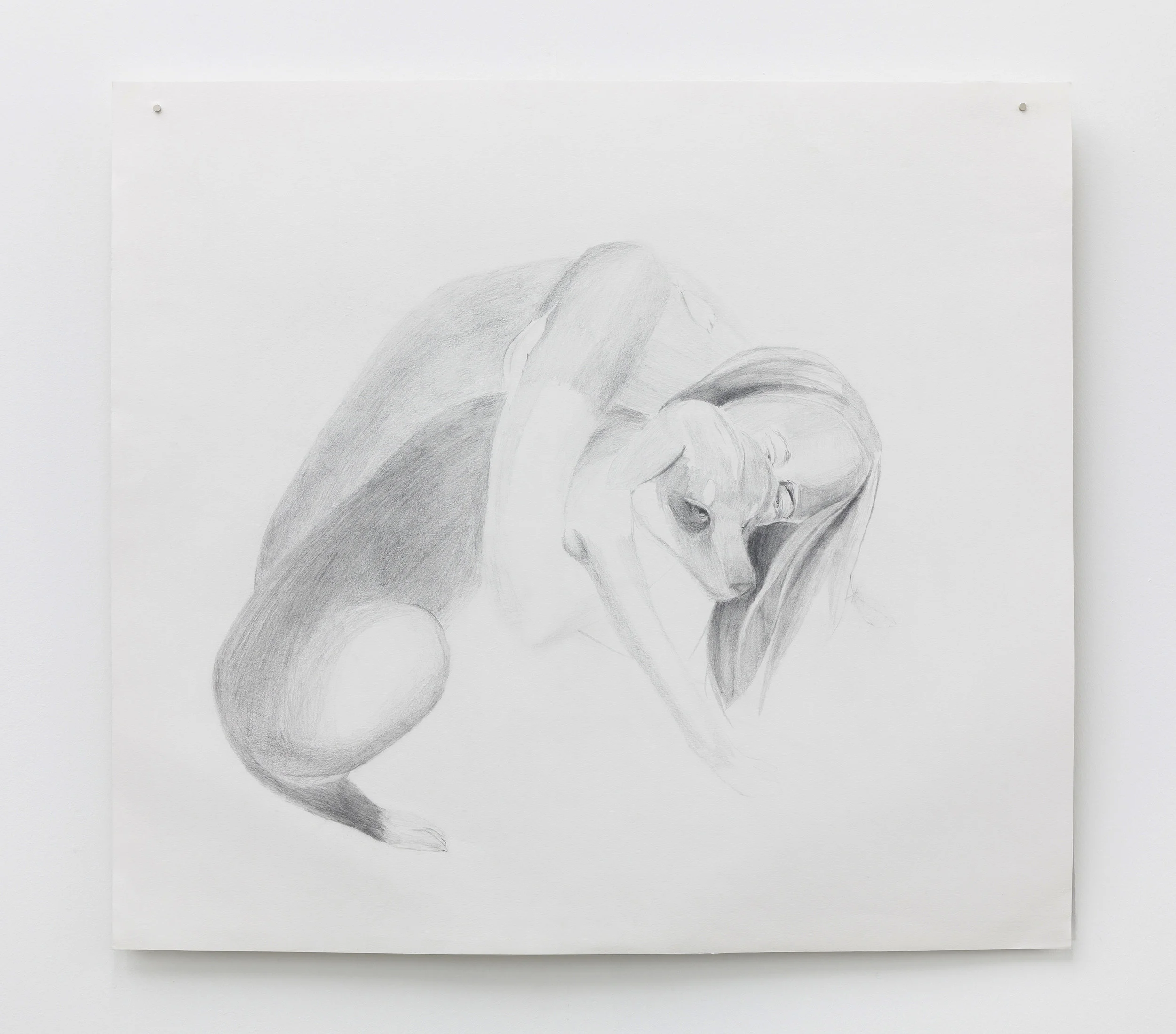 Savages die, Graphite drawing on Rosaspina paper
