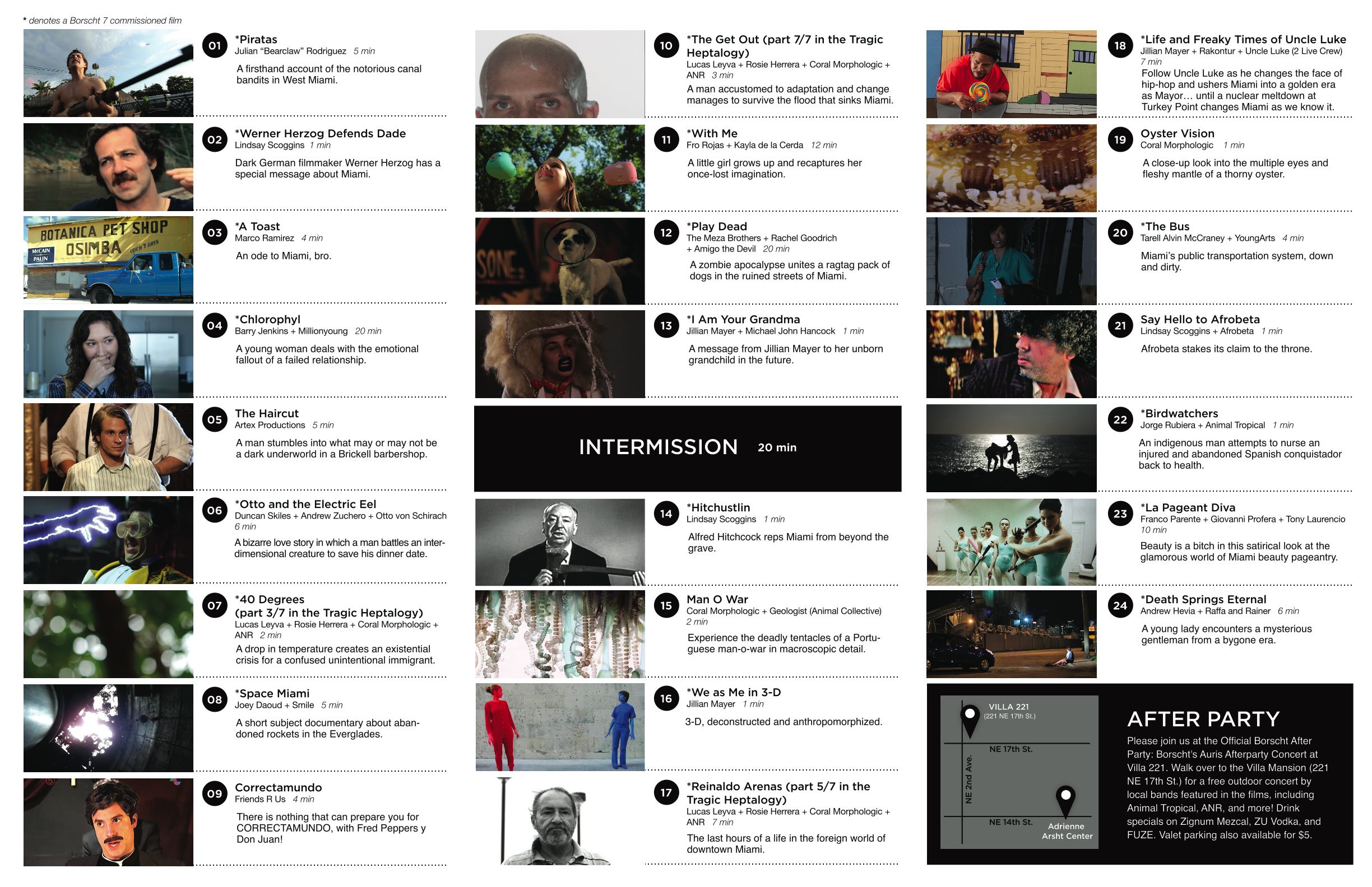 Borscht 7 Program