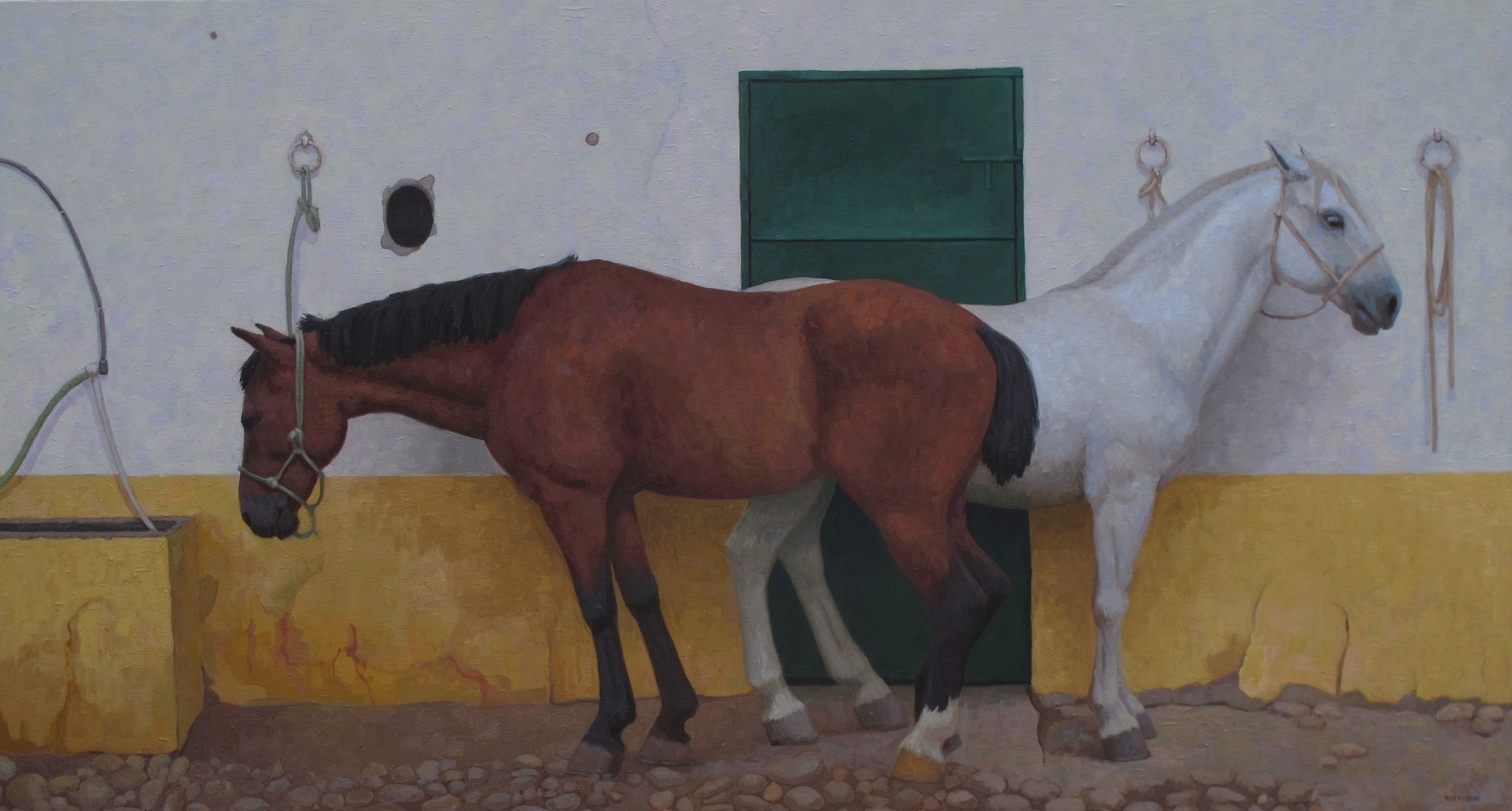 Andalusian Dreaming