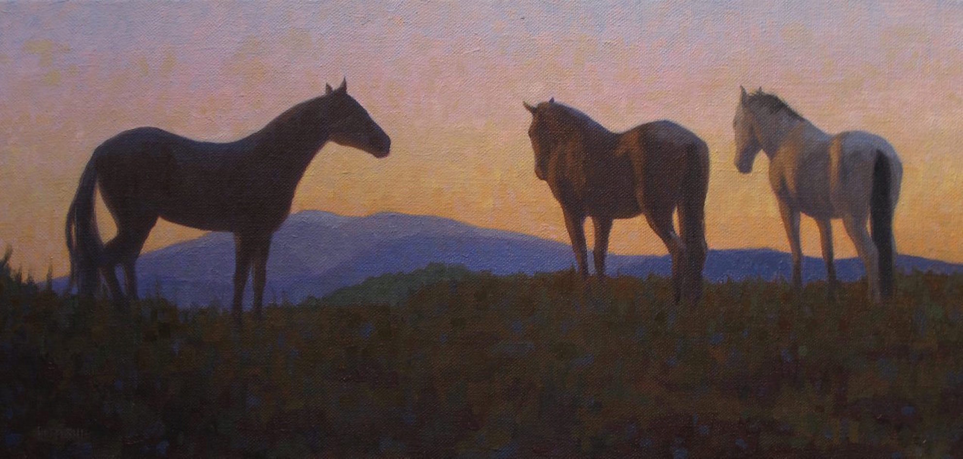 Meeting the Day
