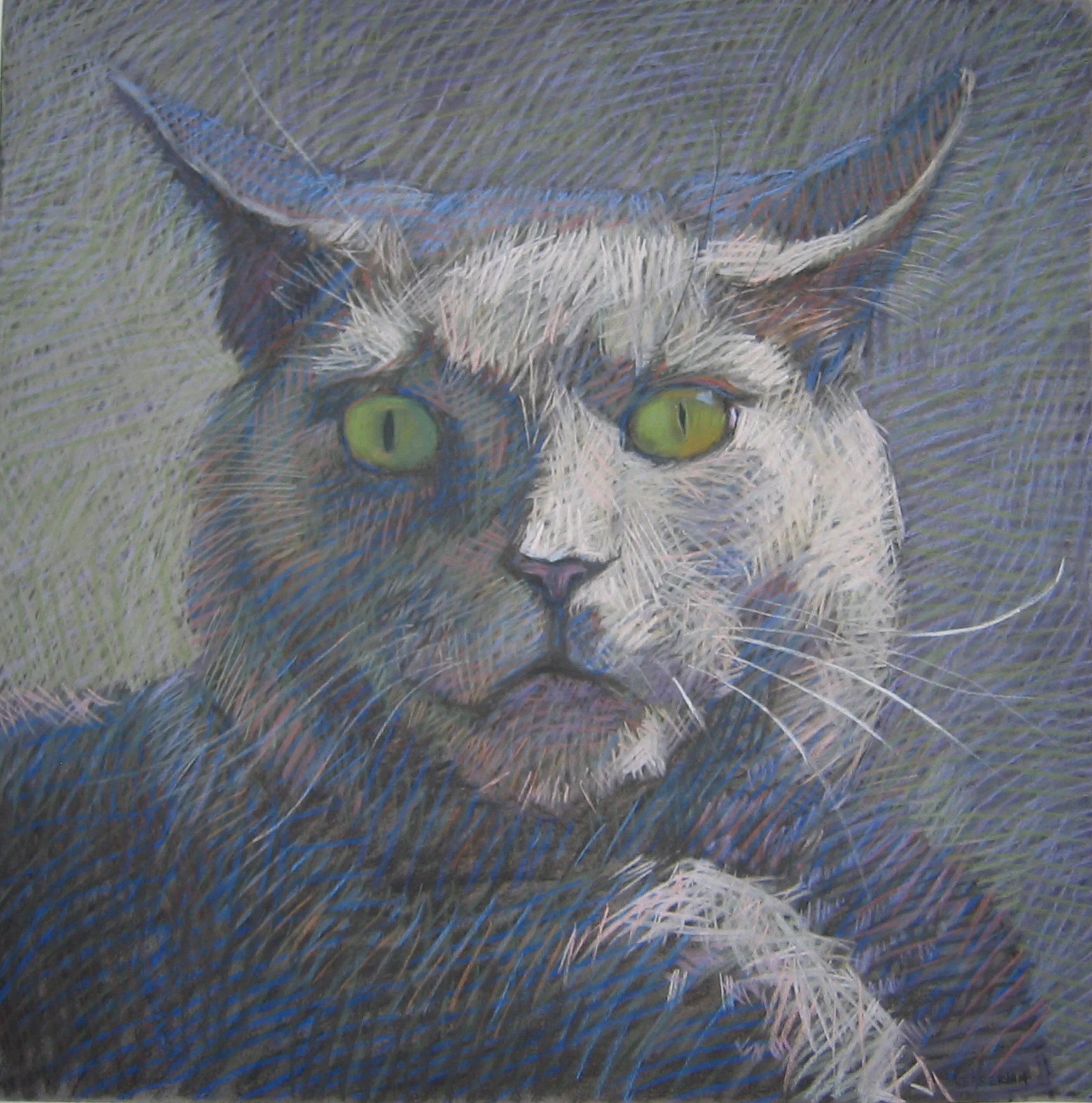 Tom Cat Trilogy III