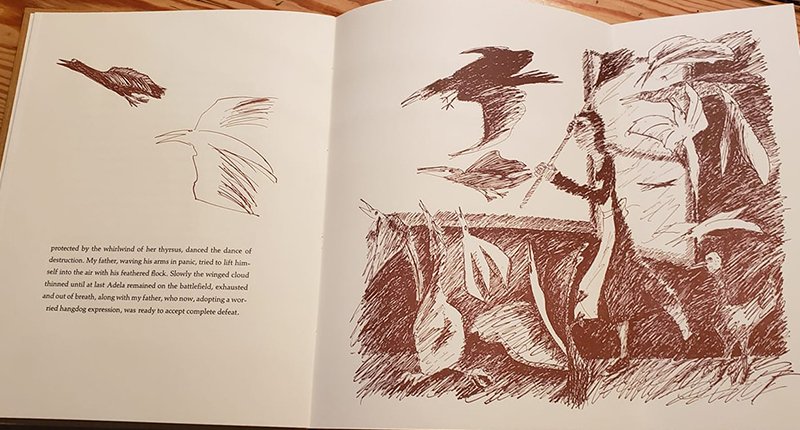Birds by Bruno Schultz, illustrated by Janet Morgan