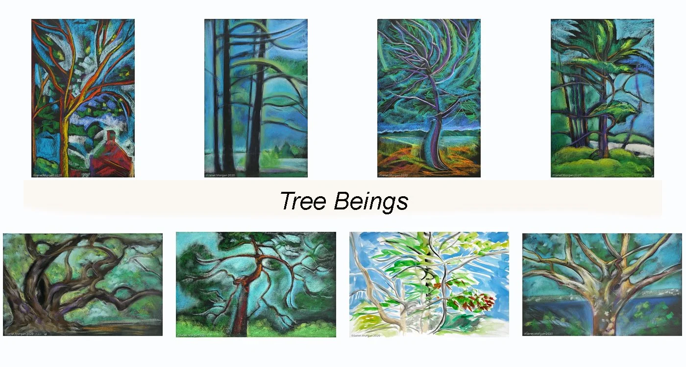 slideshow-trees.jpg