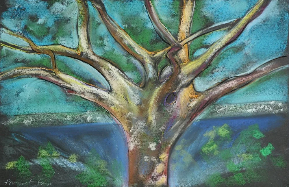 bbg_prospect park-rink-tree.jpg