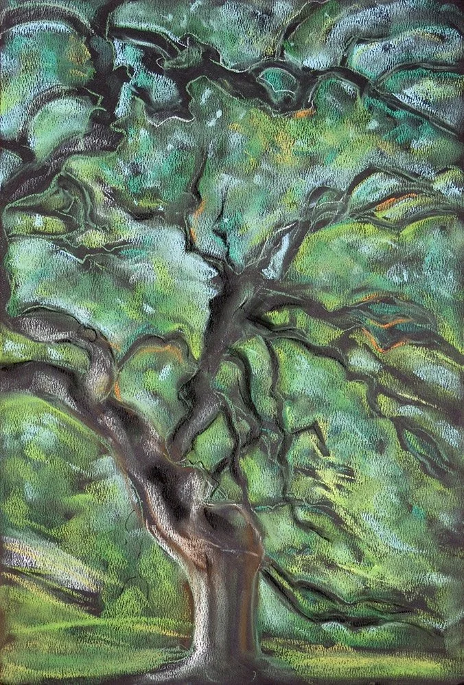 janet-morgan-camperdown-elm-greenwood-cemetery-12x8-print-on-aluminum-of-pastel-on-black-paper-2018-250.jpg