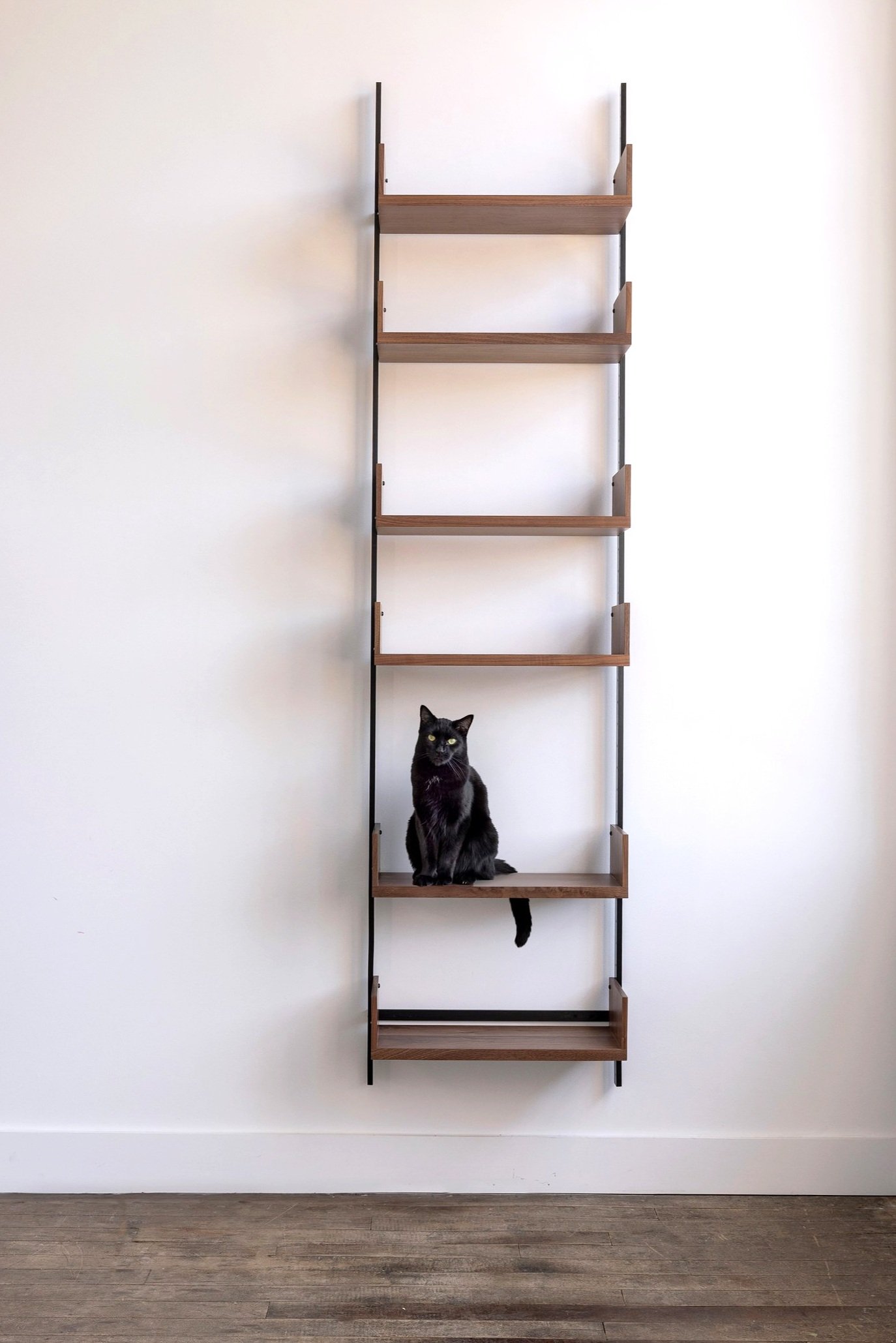 AS4 modular shelving, walnut & blackened steel