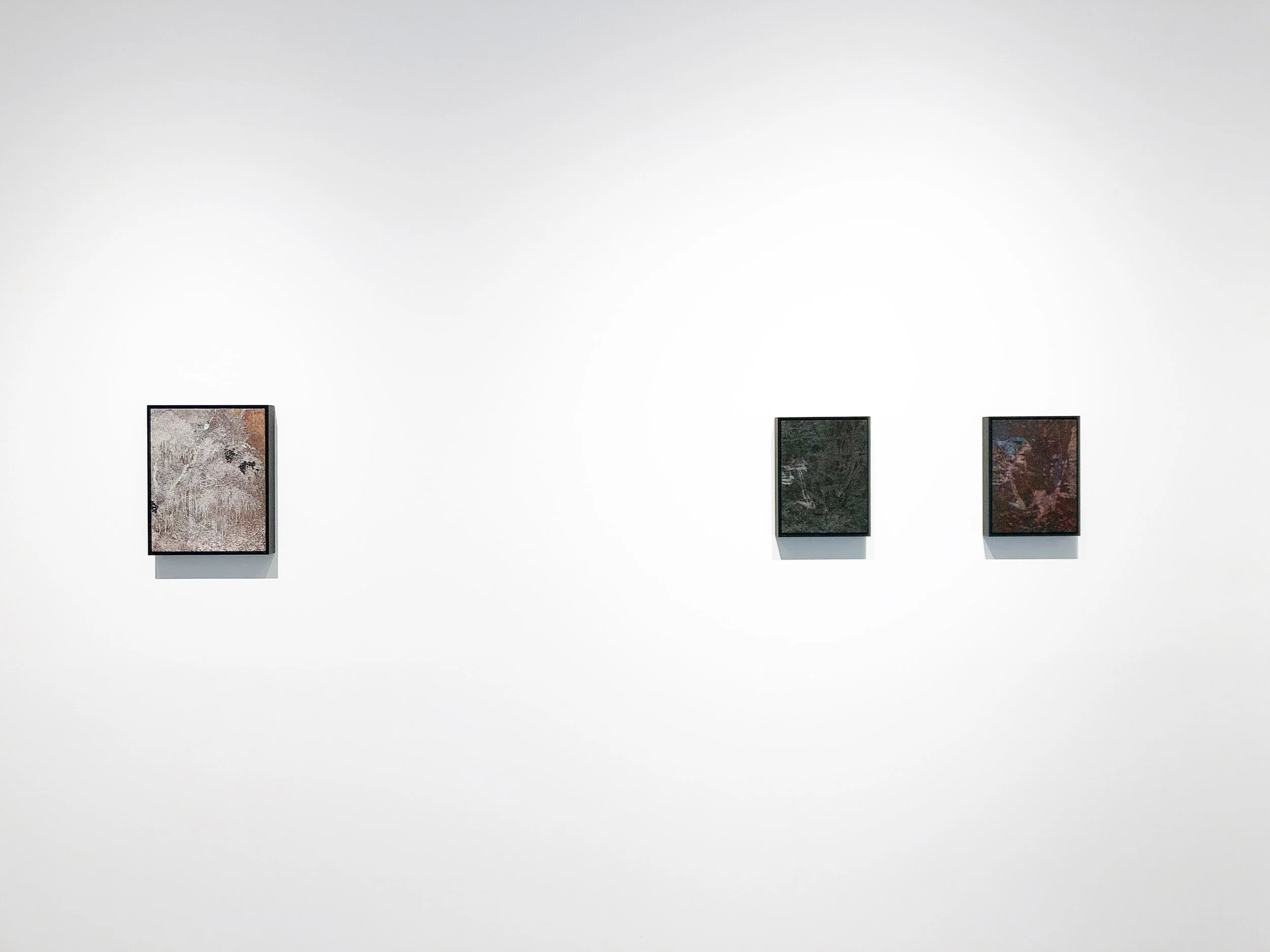  Room one. Blooming, Black tree, Red tree. 2019     