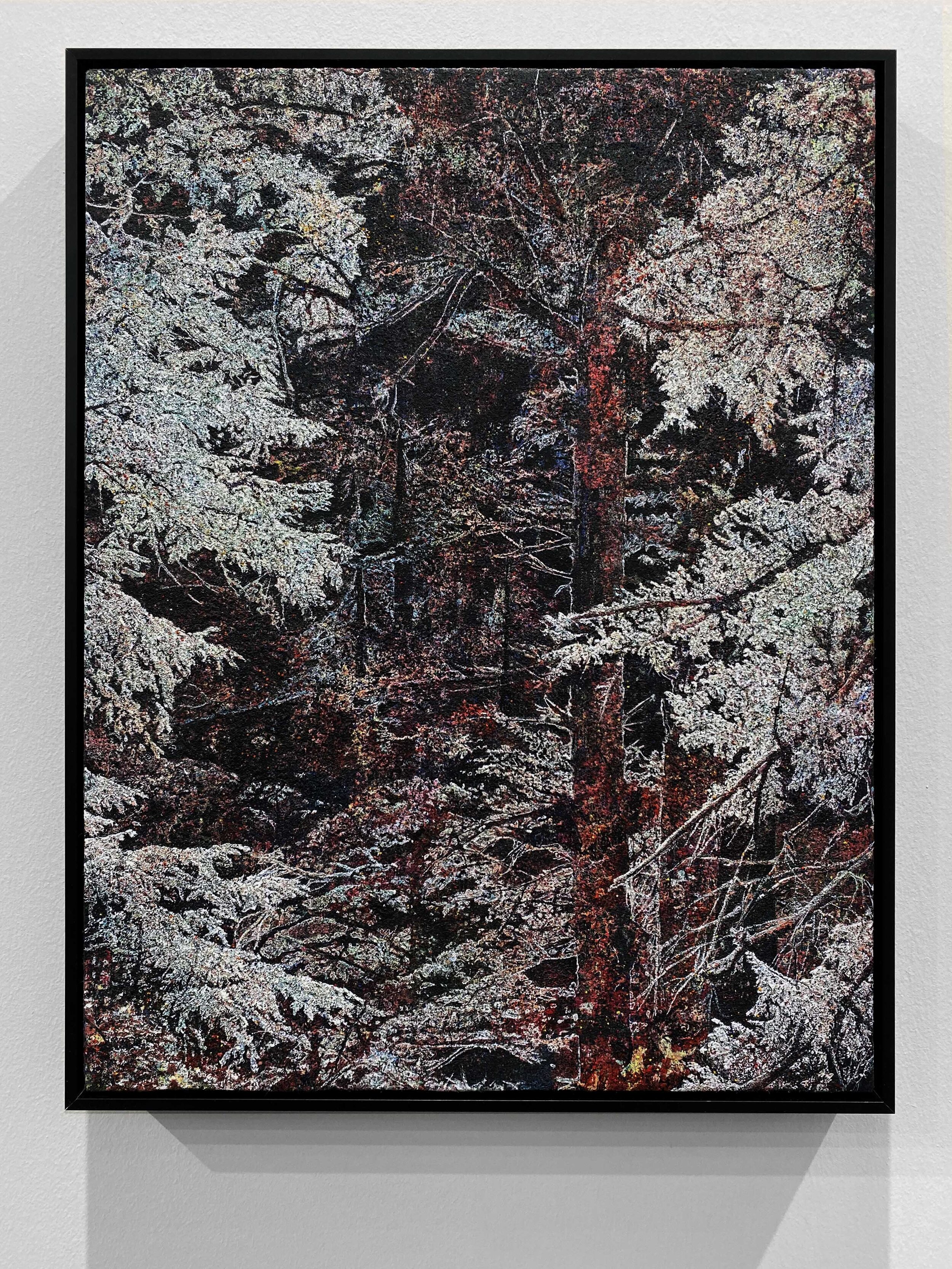   Spanish moss.  Acrylic and pigment on linen. 55,5 x 42,5 cm. 2020 