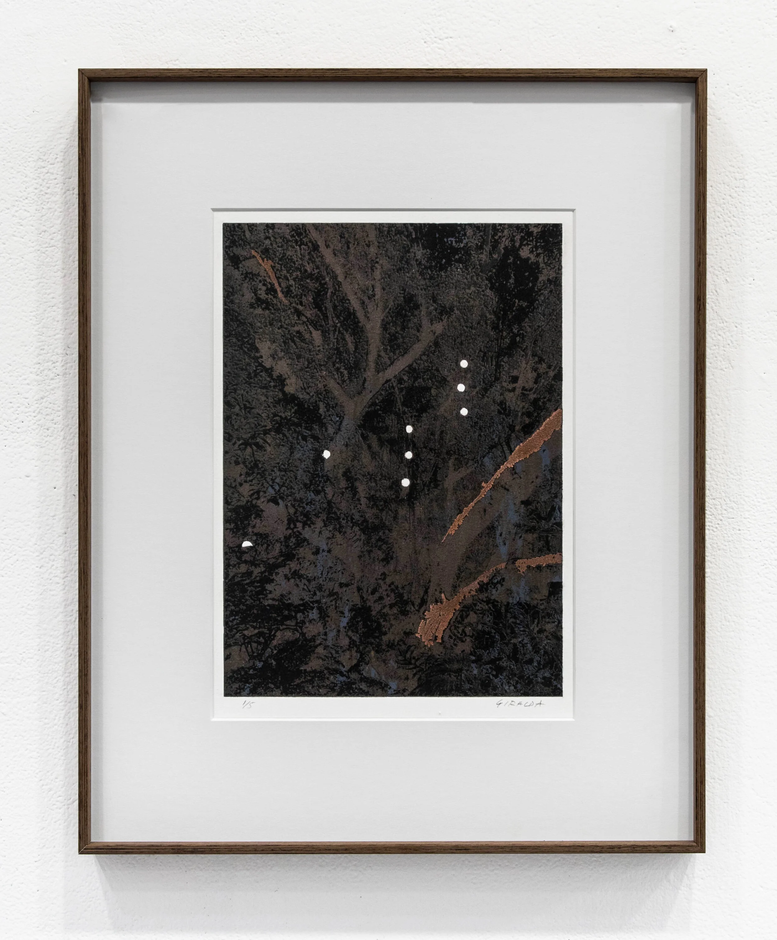   Cooper tree.  Screenprint on archival paper, 48 x 38 cm, 2019. 