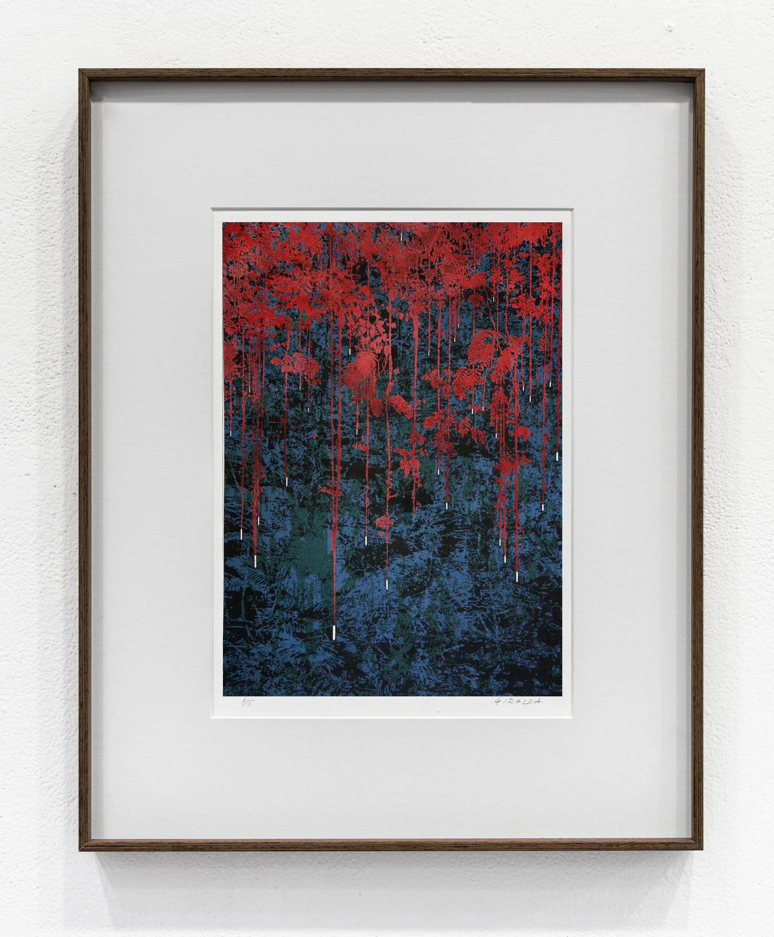   Hanging plants.  Screenprint on archival paper, 48 x 38 cm, 2021. 