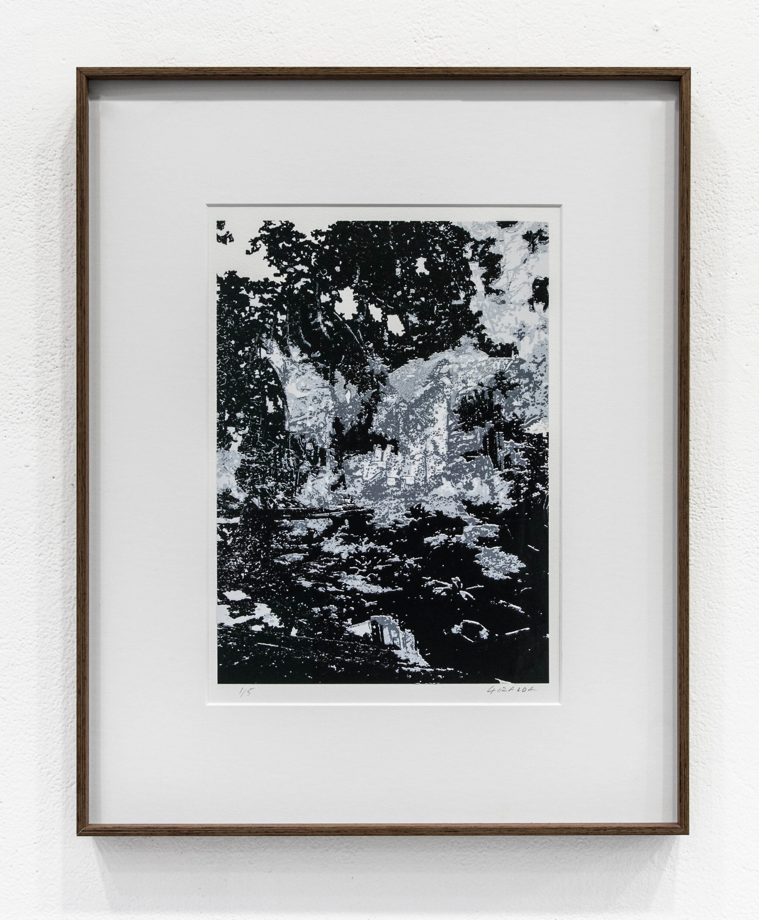   Weeping willow.  Screenprint on archival paper, 48 x 38 cm, 2019. 