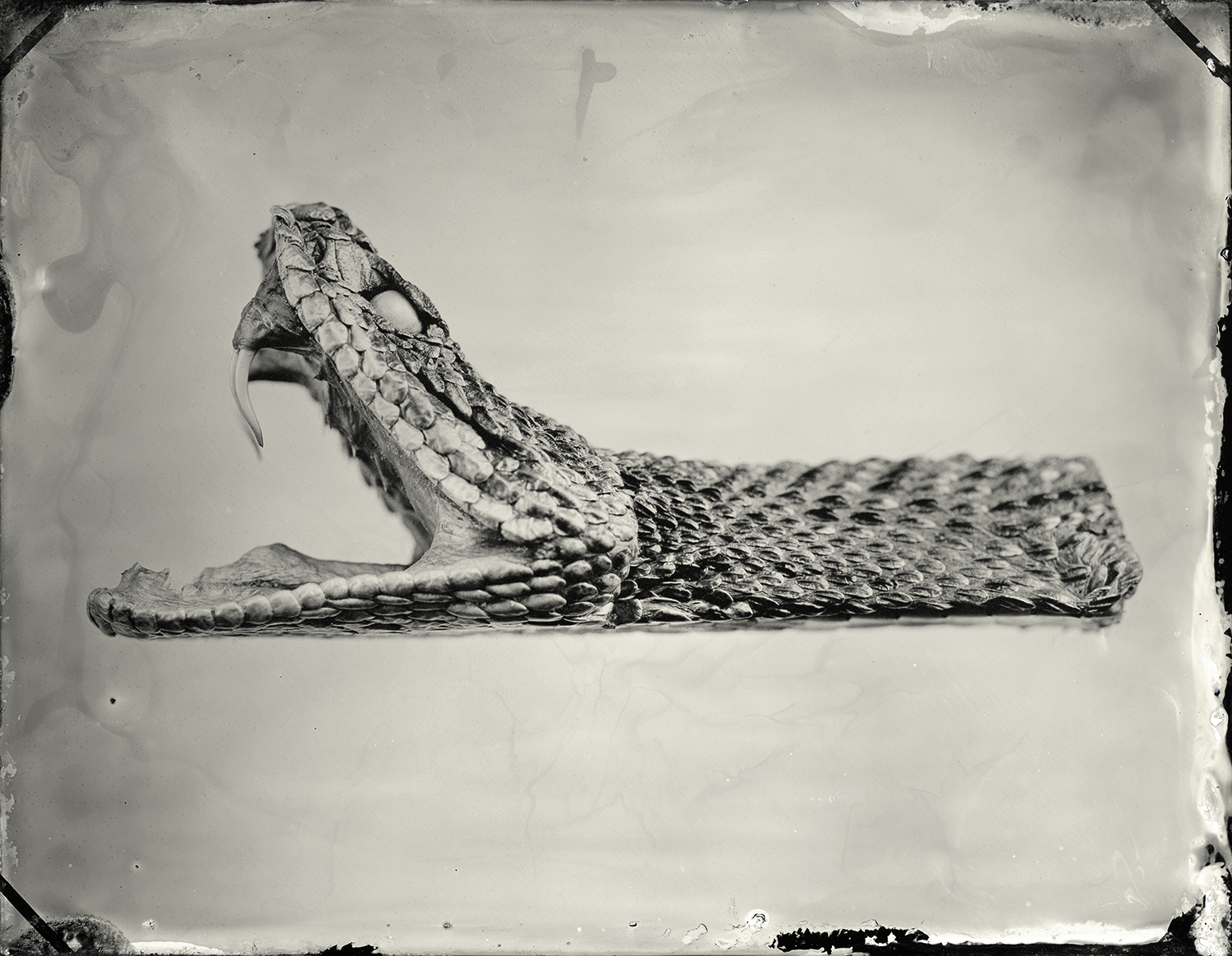 24x30_pick_tintype_high020_sec.jpg