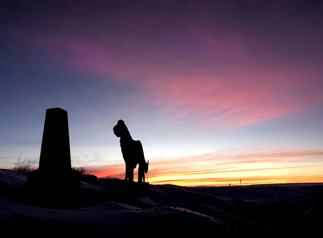 shep at sunrise.jpg