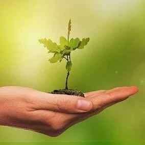 Worksheets for Staying in Your Responsive Brain