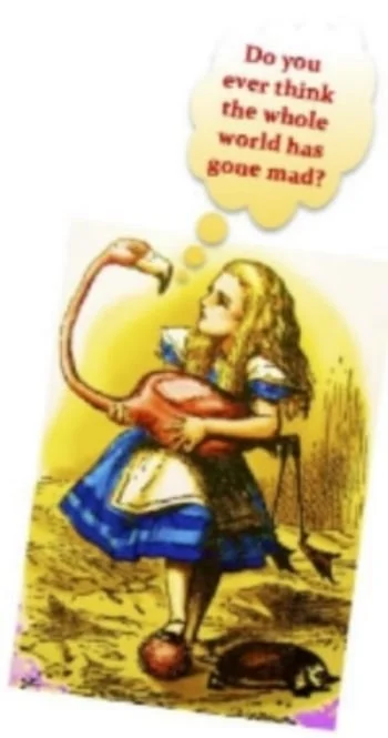 Alice Flamingo.jpg