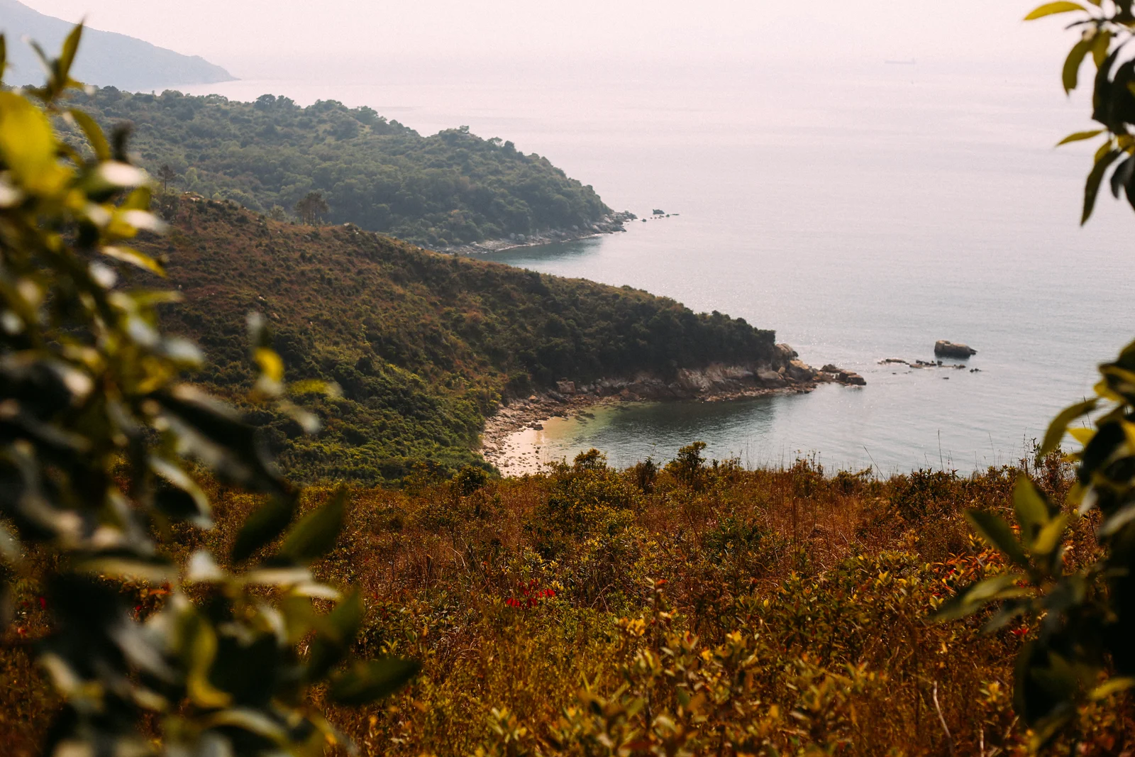 HongKong016.jpg