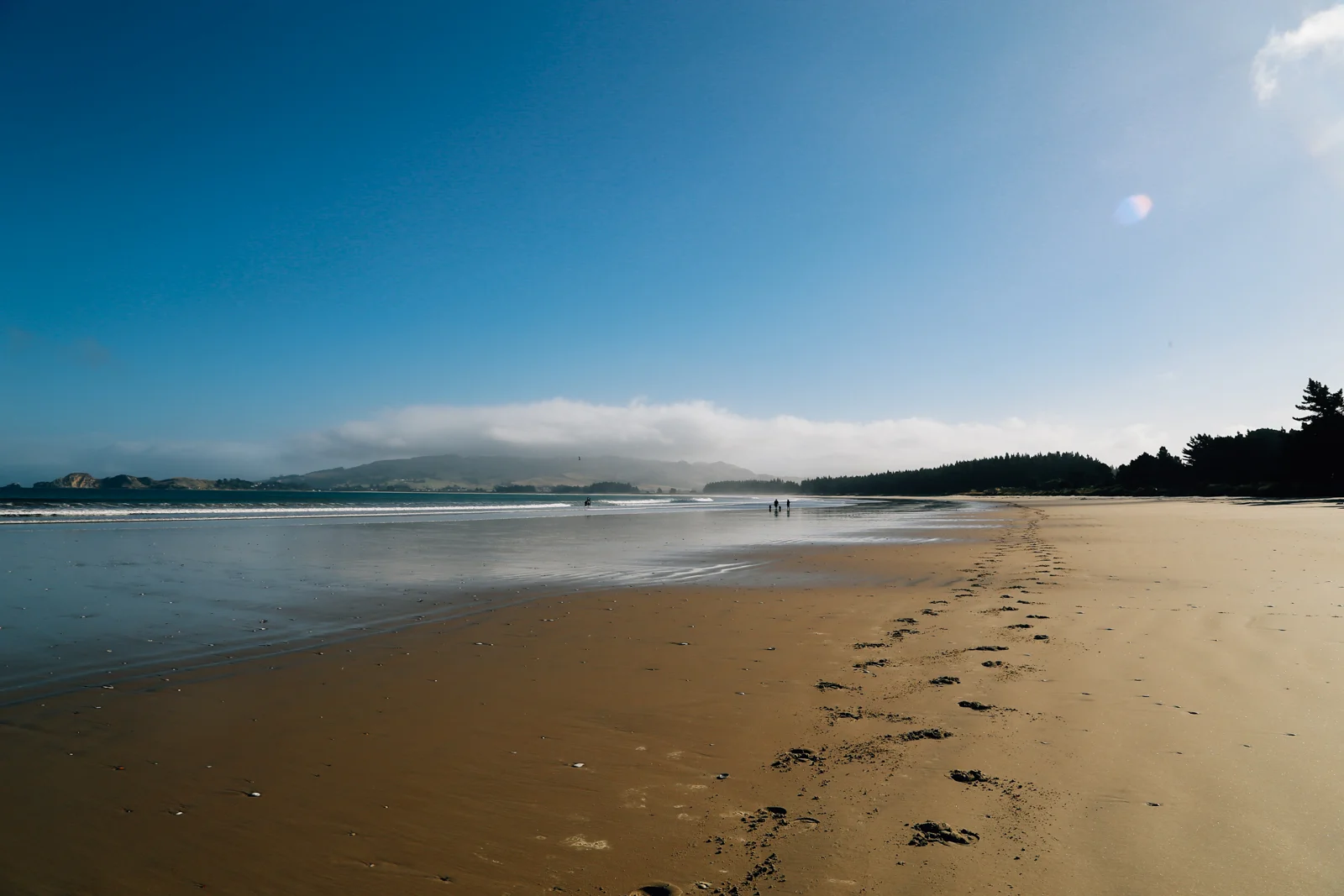 NZ1003.jpg