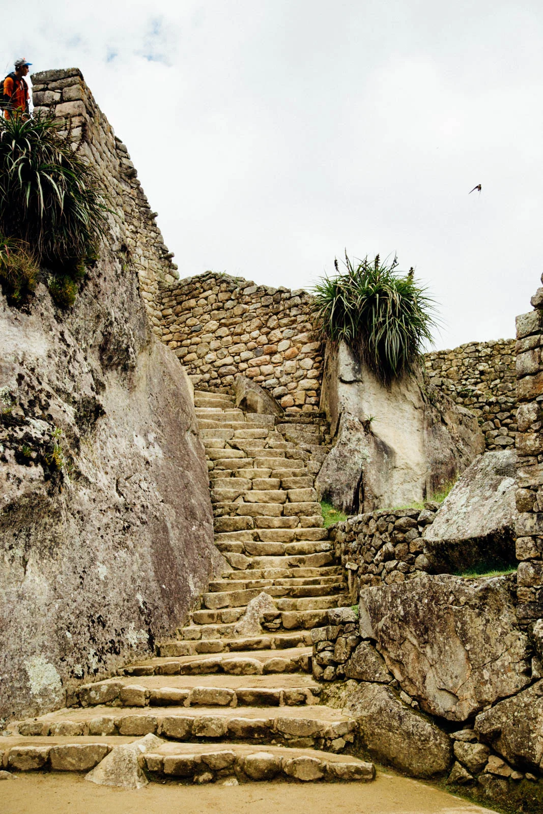 20141202-kkPeru098.jpg