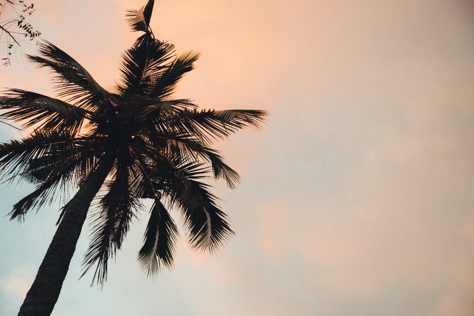 Sri Lanka40.jpg