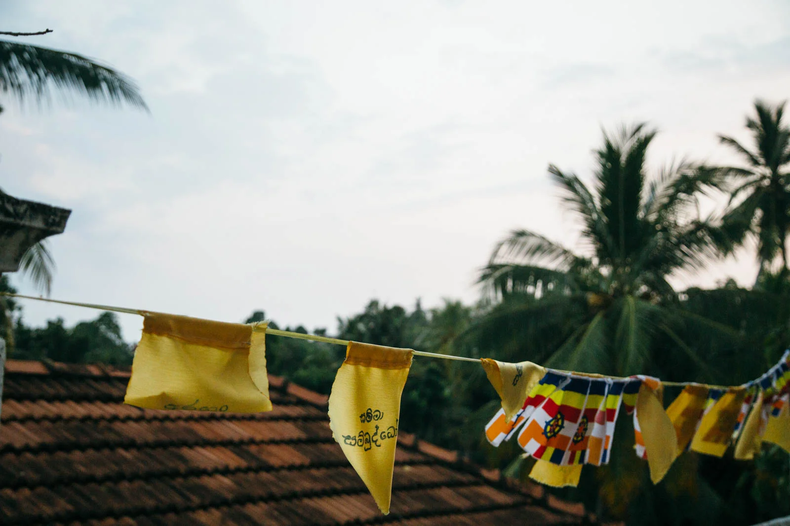 Sri Lanka_023.jpg