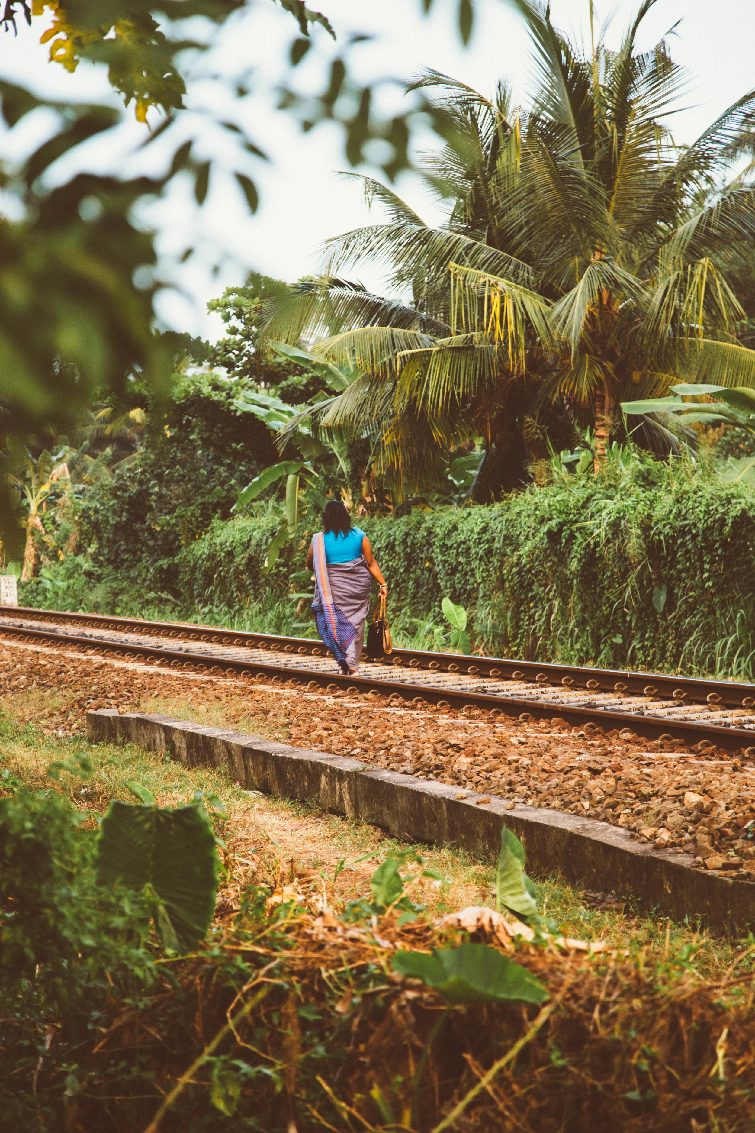 Sri Lanka _ S62.jpg