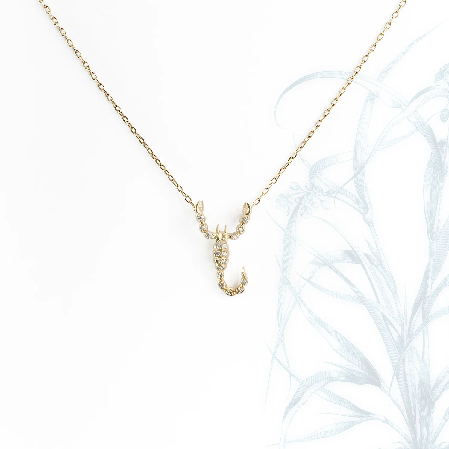 Small Scorpion Necklace / White 