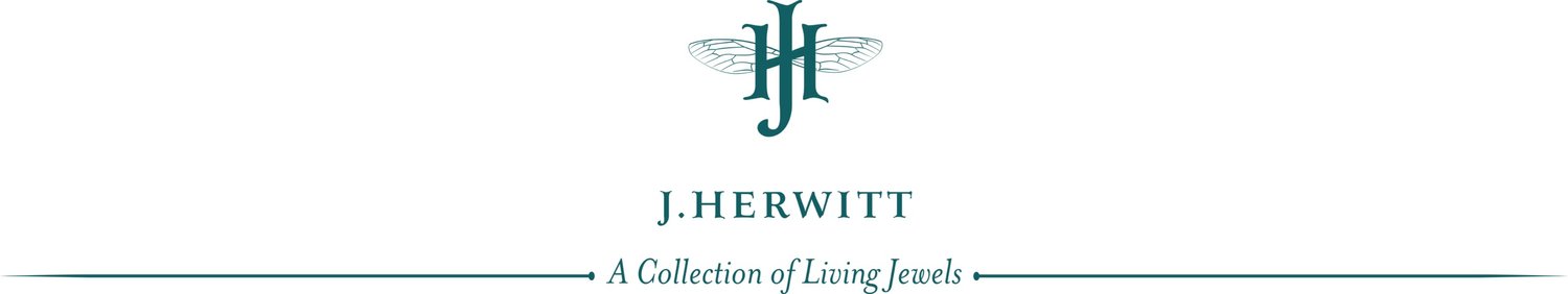 j.herwitt