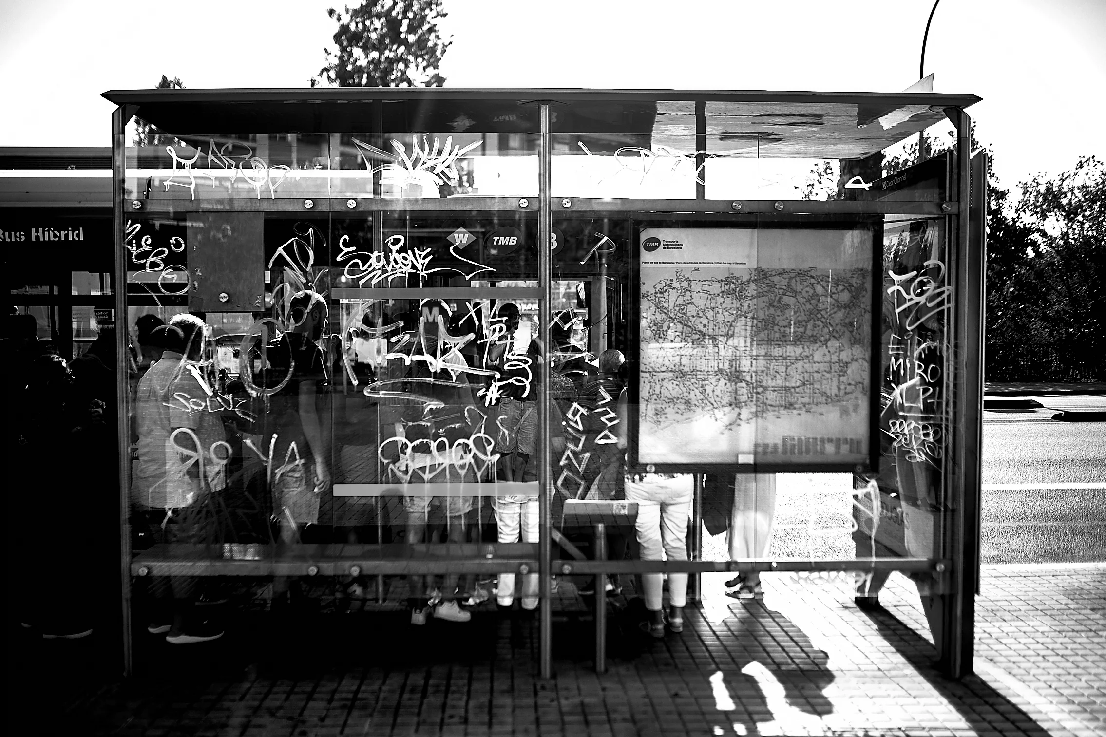 _09A8334.jpg