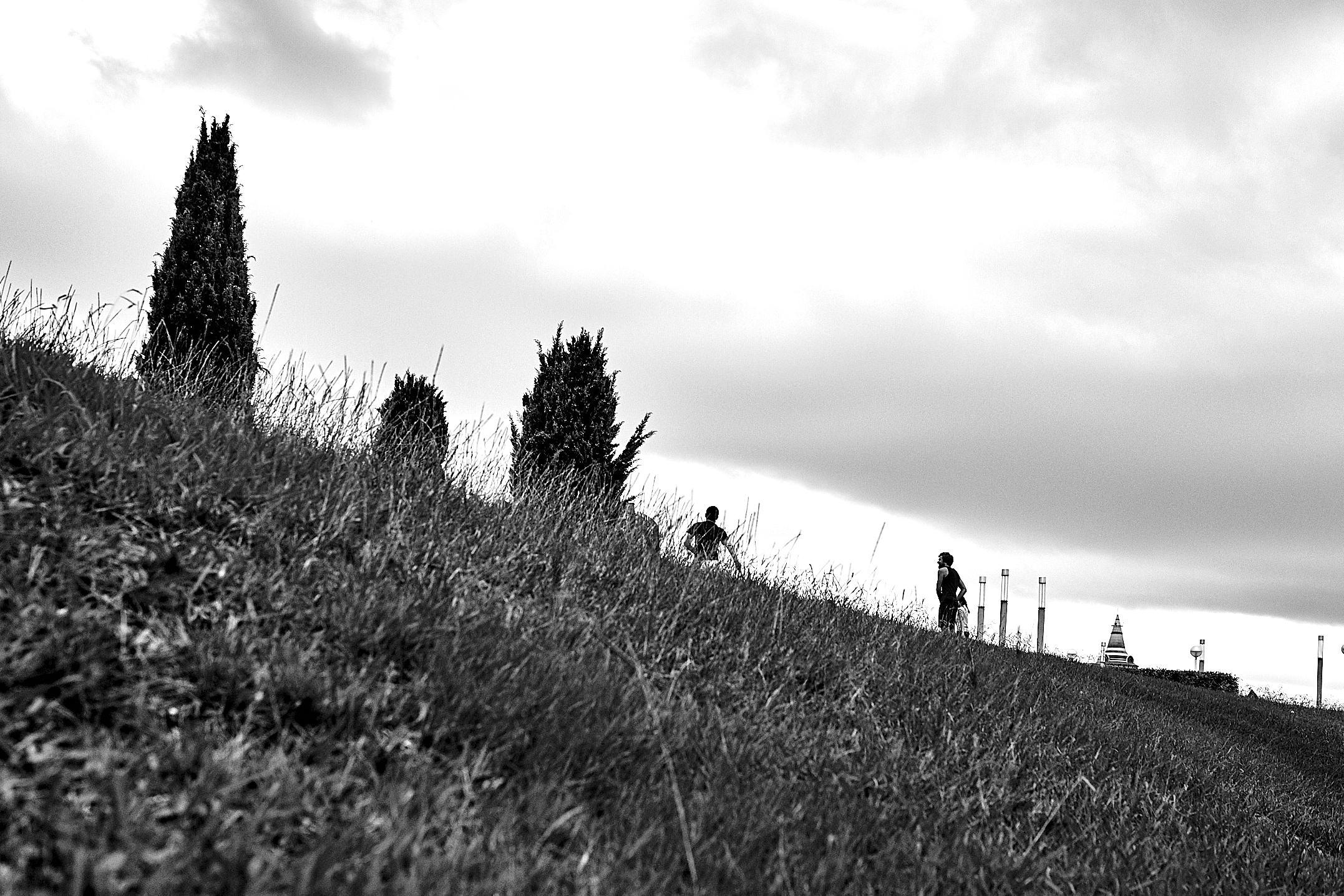 _09A8264.jpg