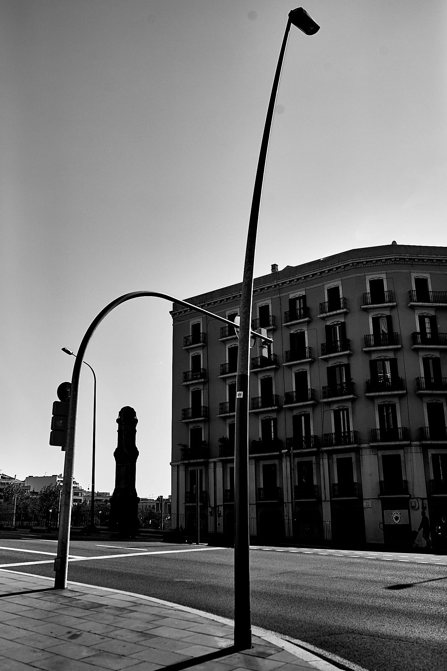 _09A8356.jpg