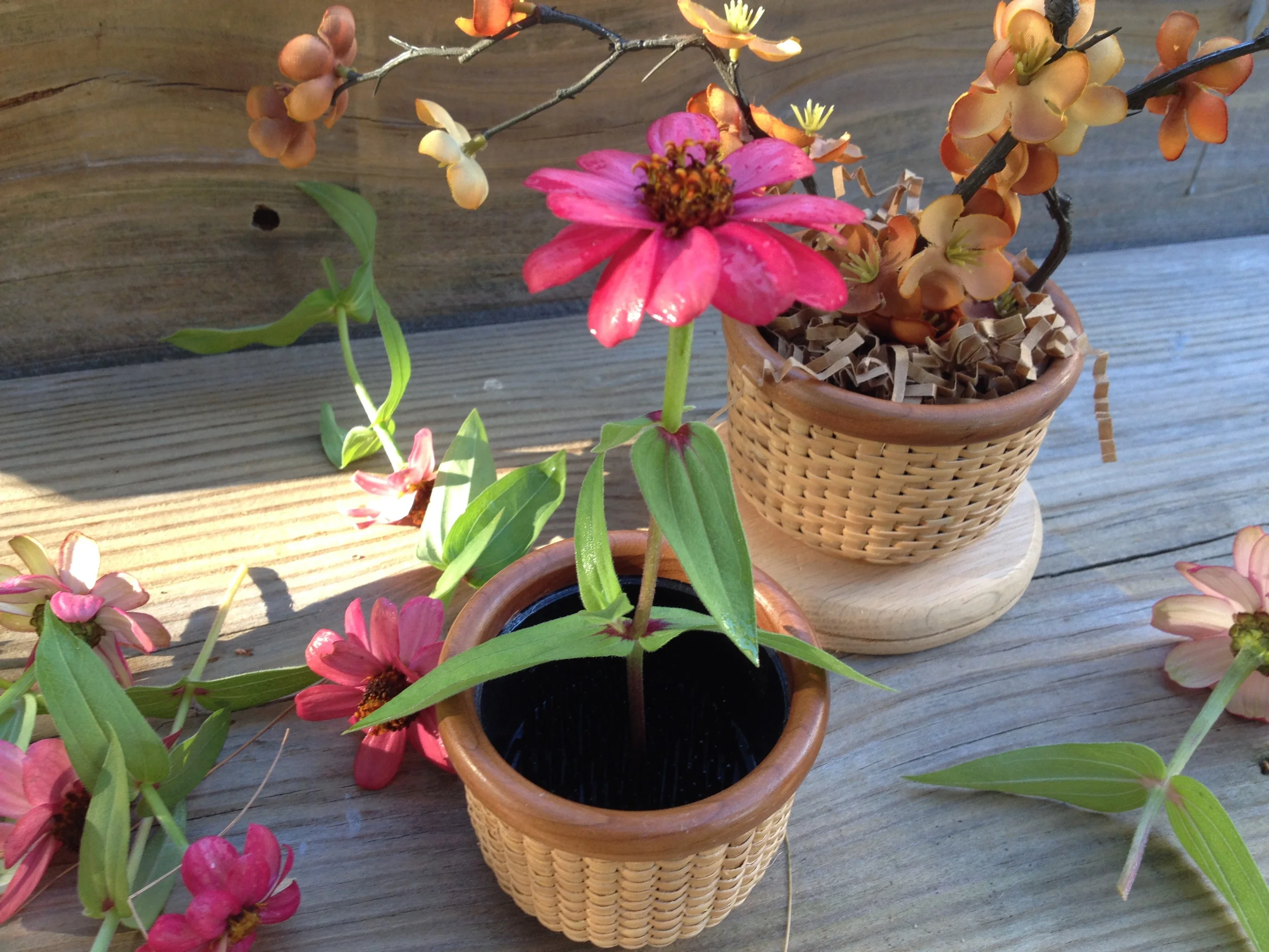 Downloaded 09-22-14 1651.JPG