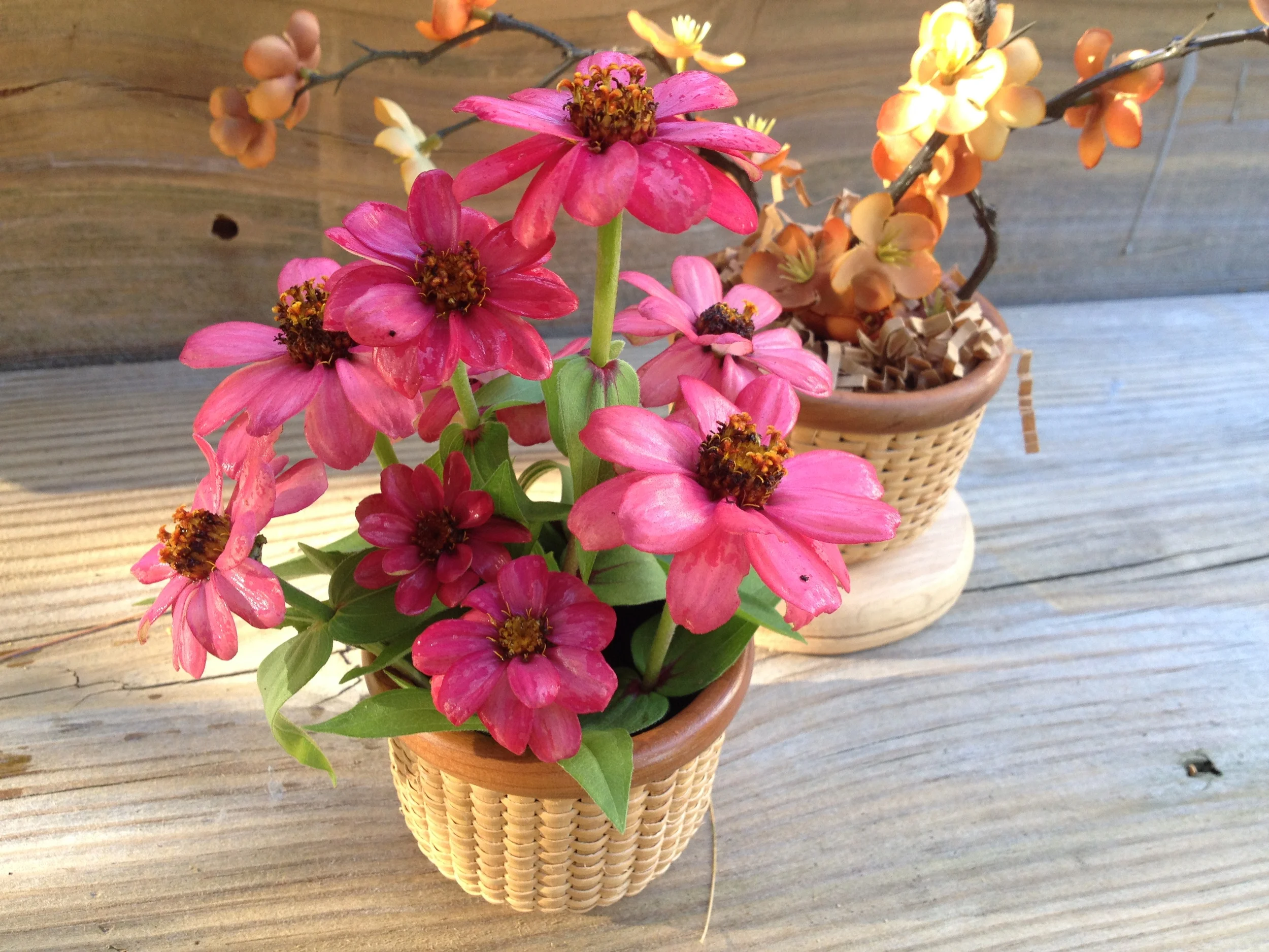 Downloaded 09-22-14 1652.JPG