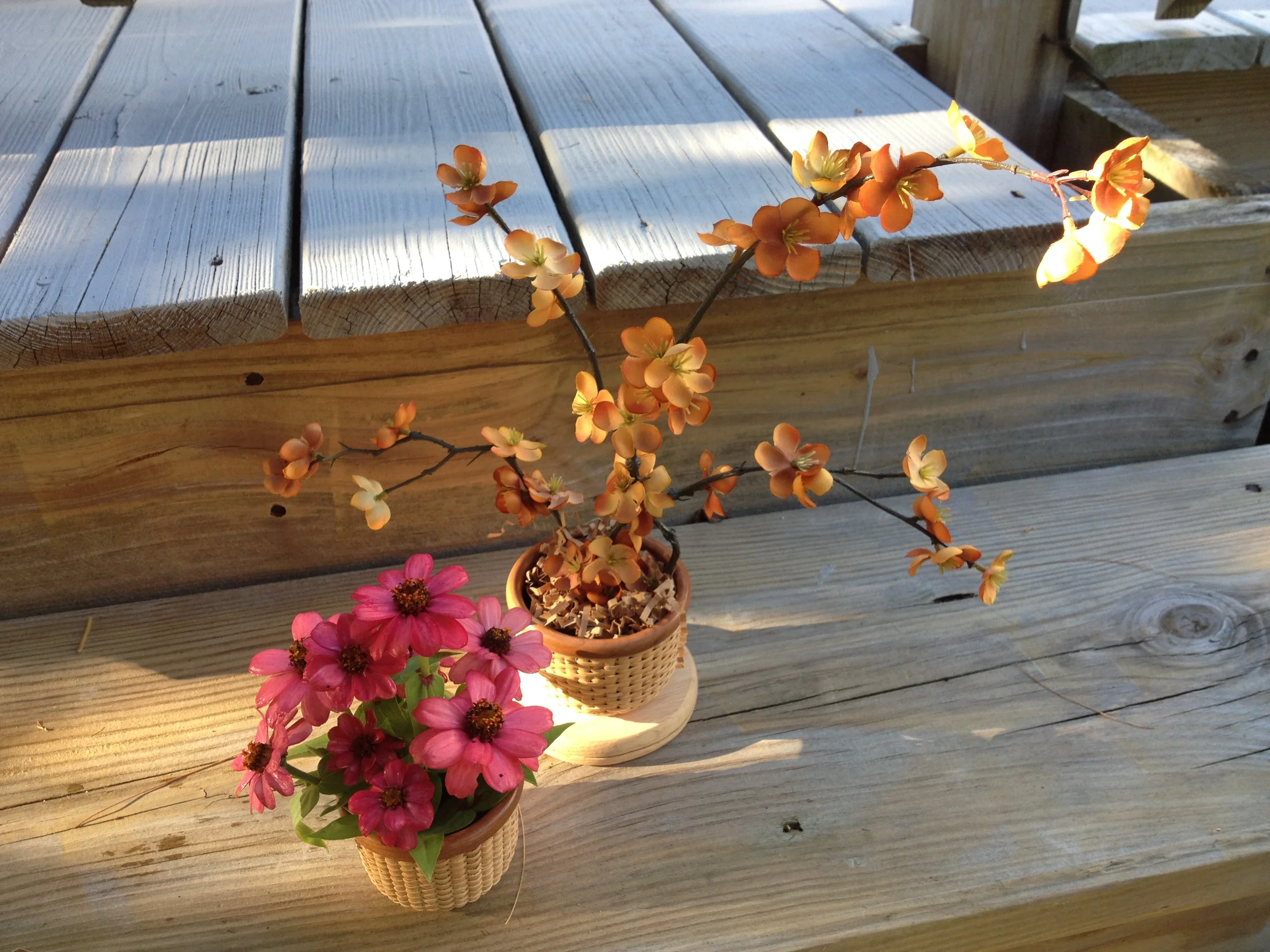 Downloaded 09-22-14 1653.JPG