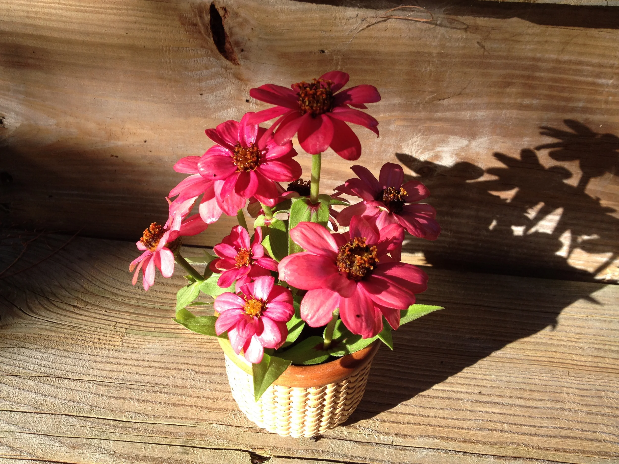 Downloaded 09-22-14 1654.JPG