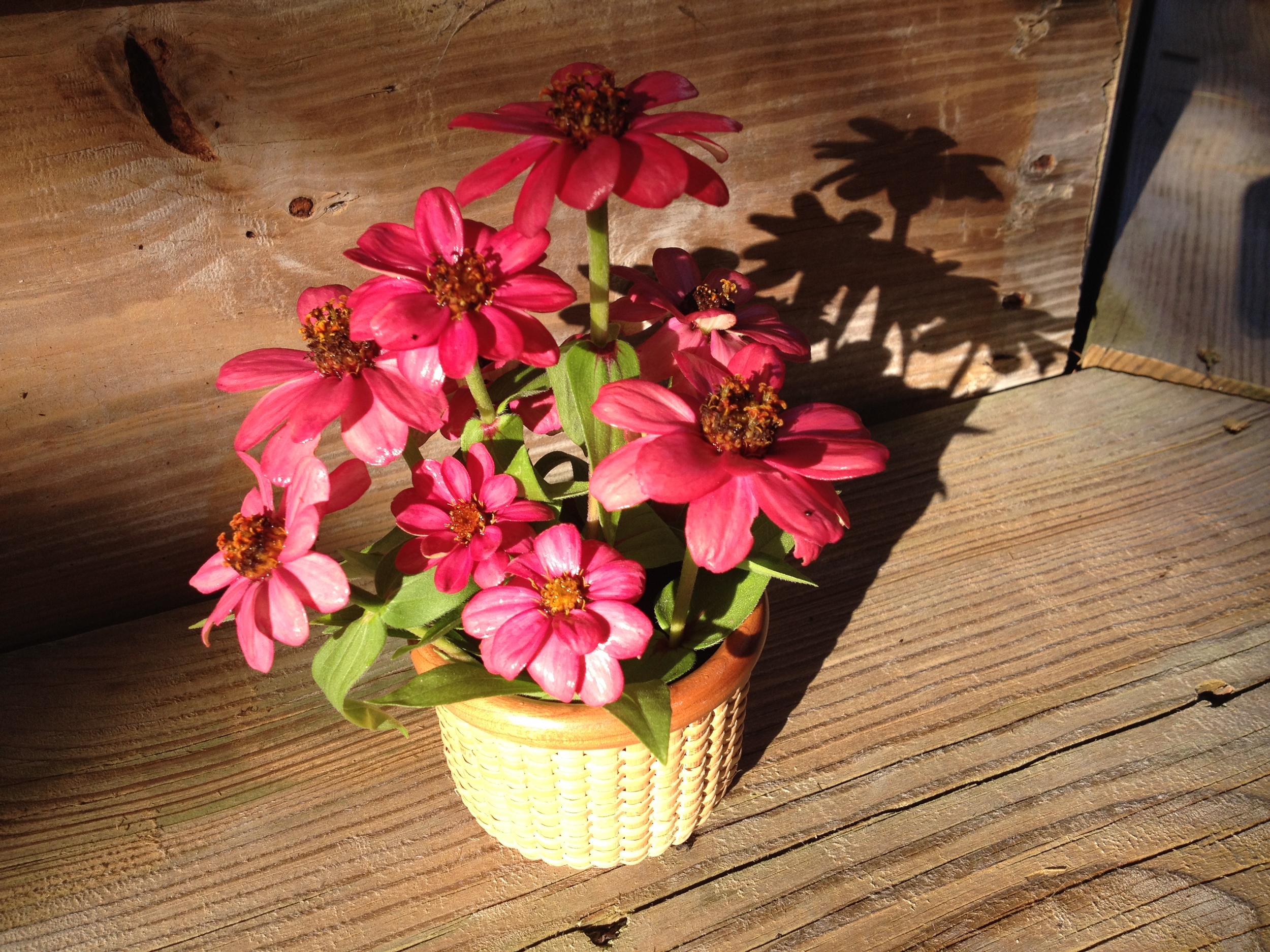 Downloaded 09-22-14 1655.JPG