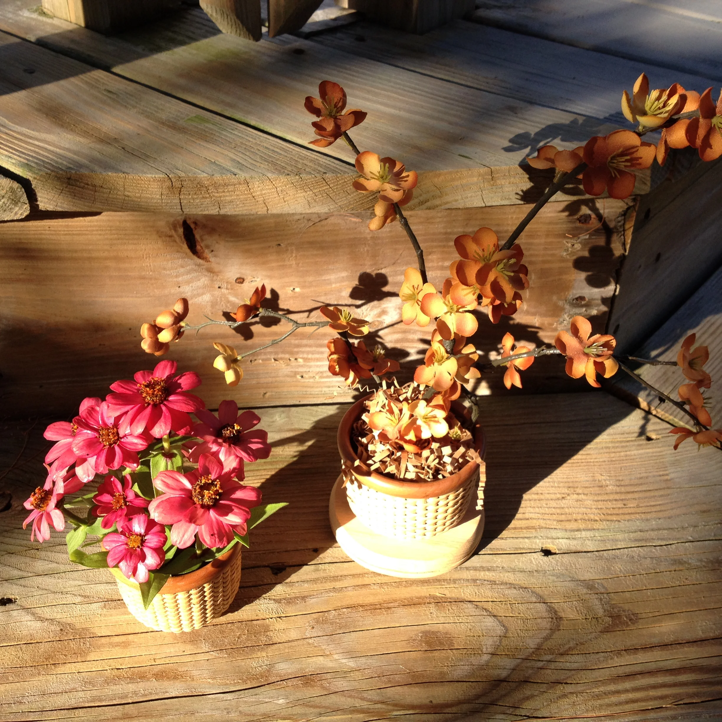 Downloaded 09-22-14 1656.JPG