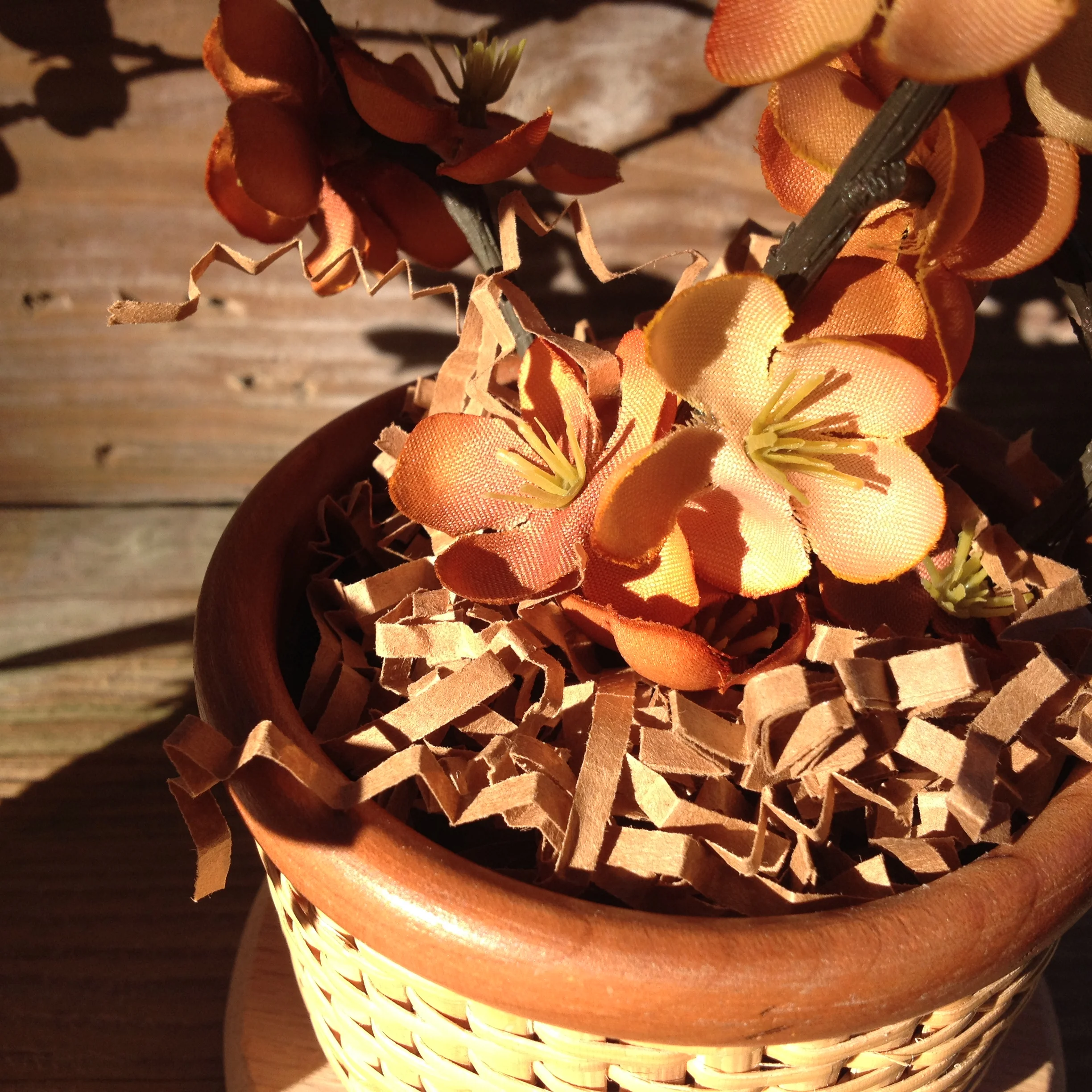 Downloaded 09-22-14 1657.JPG