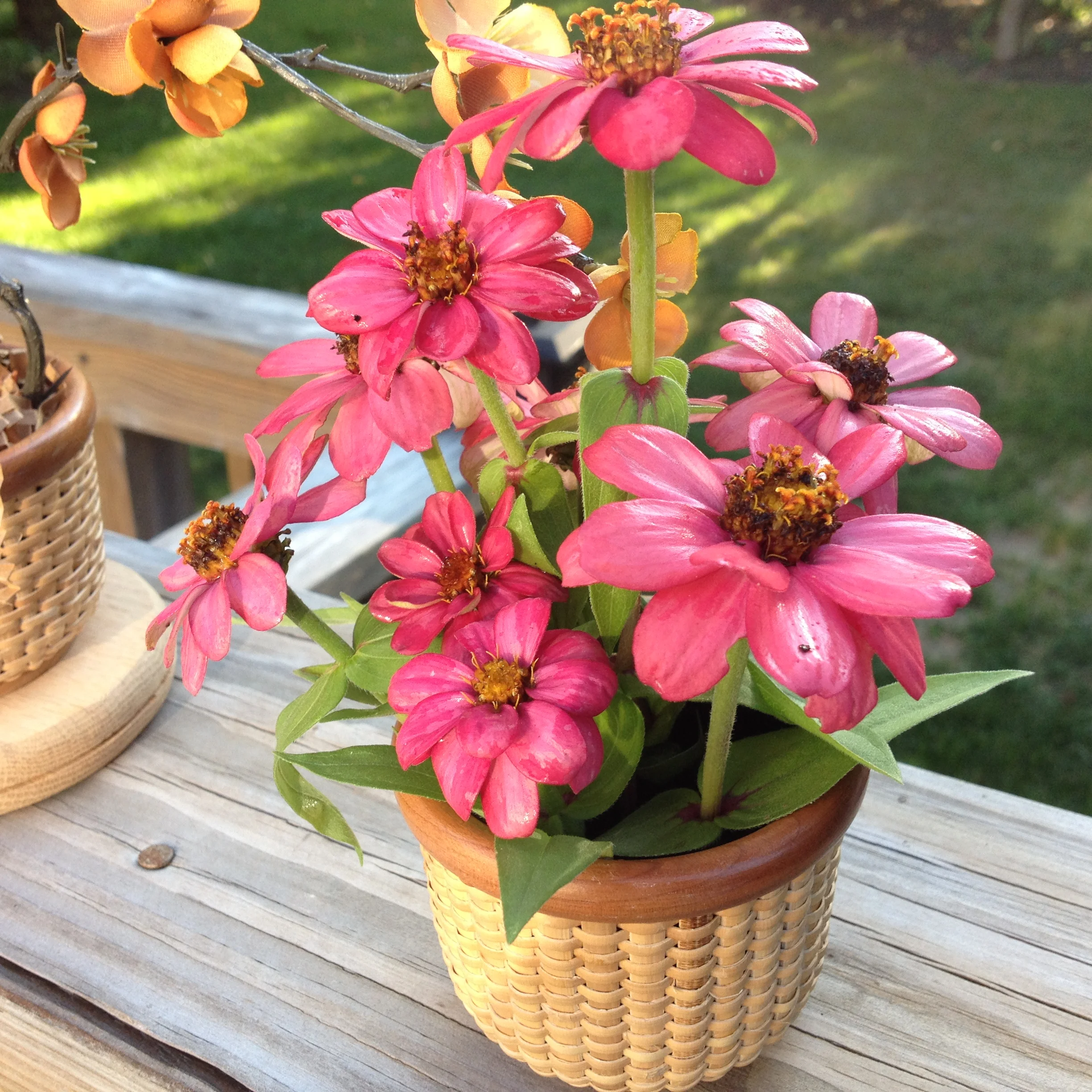 Downloaded 09-22-14 1658.JPG