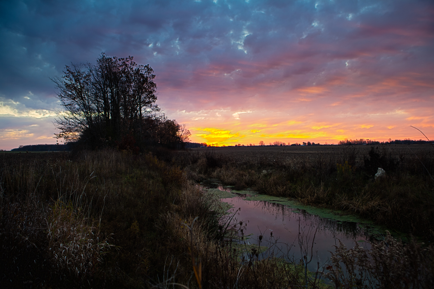 _MG_5462-Edit.jpg