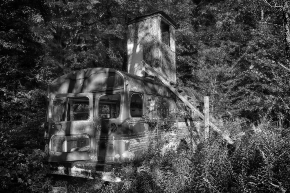 CANON_Canon EOS-1D X_52618307-52666227_526_HDR.jpg