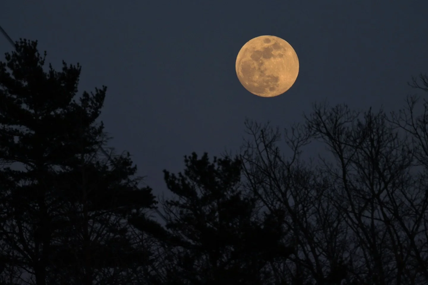 #60 Worm Moon. Partial eclipse. #wormmoon #fullmoon