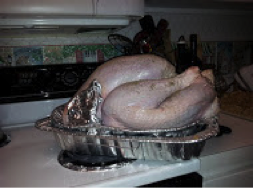 Place turkey in pan, season, wrap wings