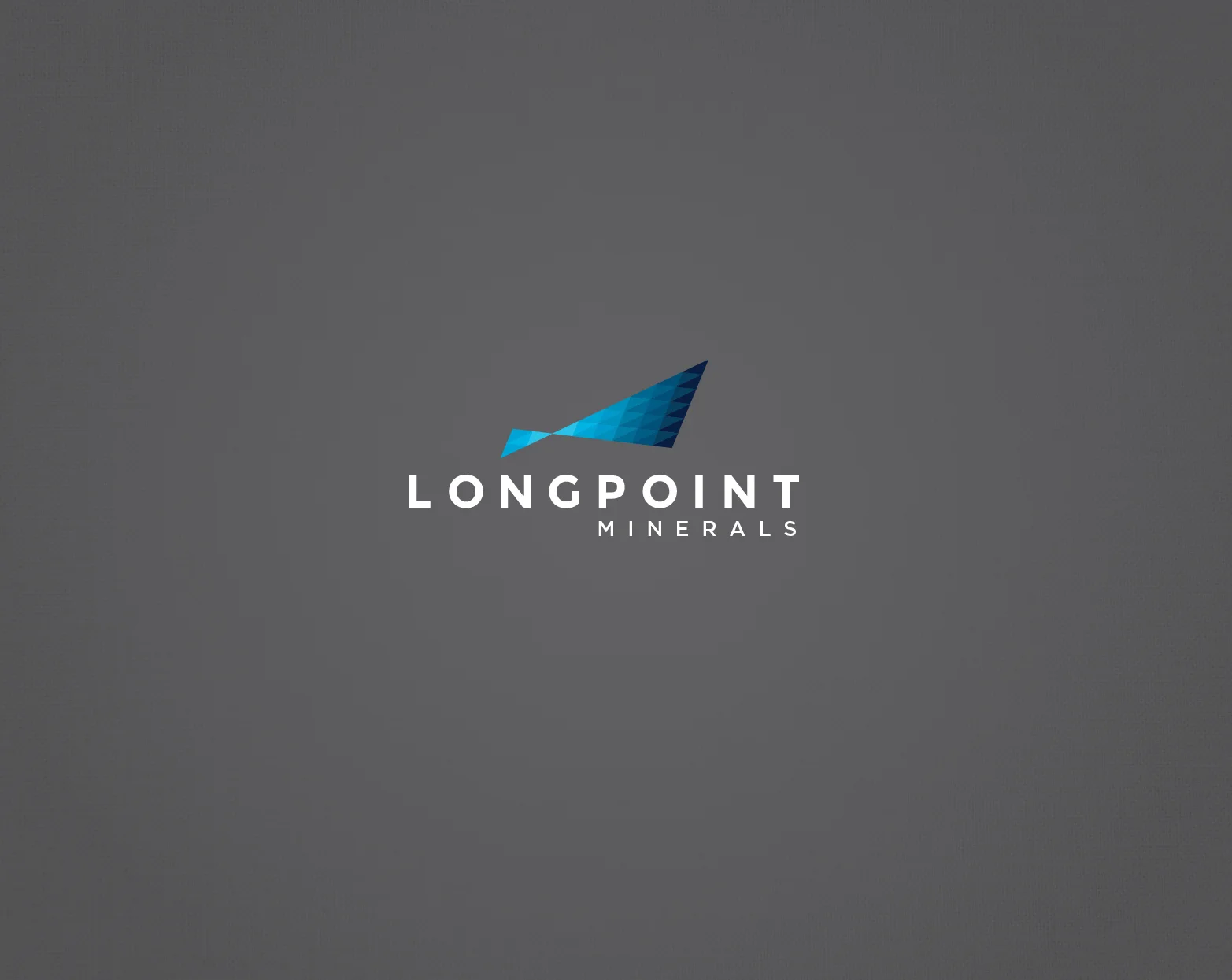 LongPoint_Logo_Web2.jpg