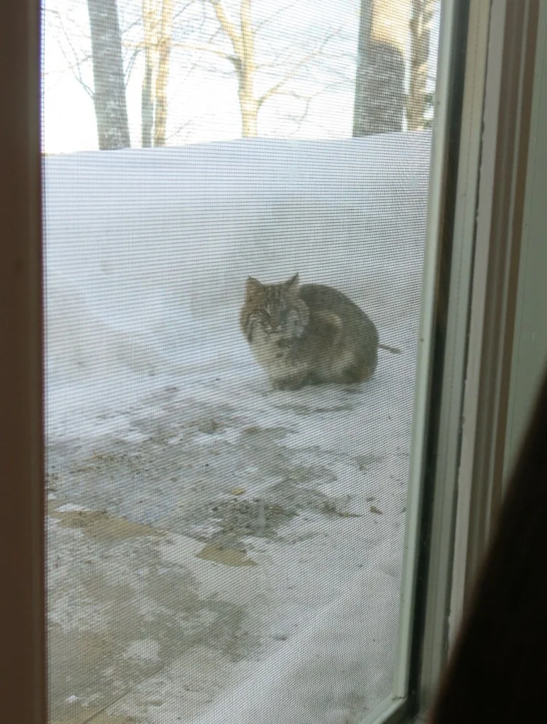Resting just outside the studio doors.