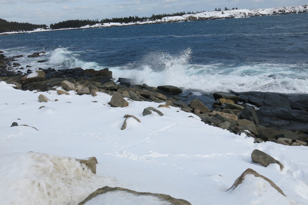 In the foreground you can see the tracks from a river otter that slid down the snow to the water’s edge to feed.