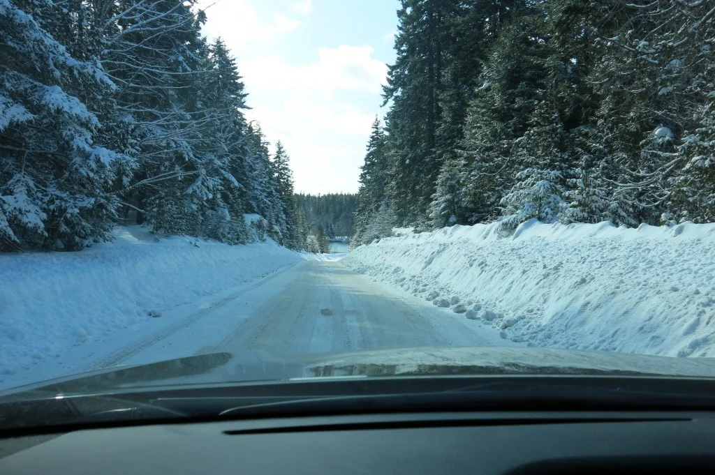Even the drive Schoodic was a wintry escape.