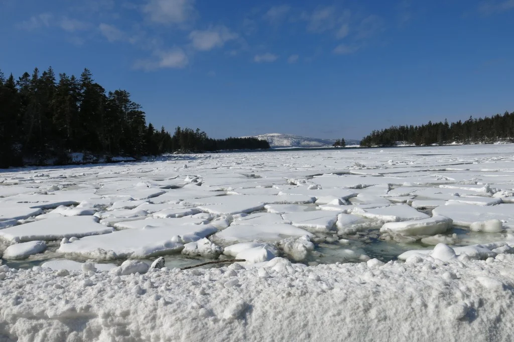 The ice floes filled inlets.