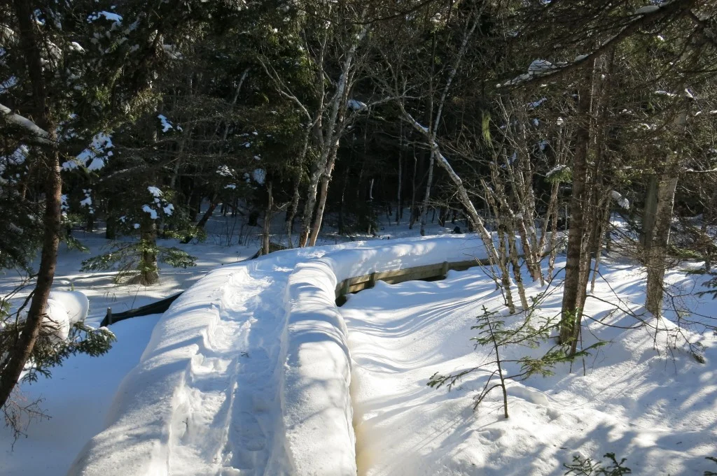 This forest trail took me over a wooden bridge well-trodden by snowshoers.