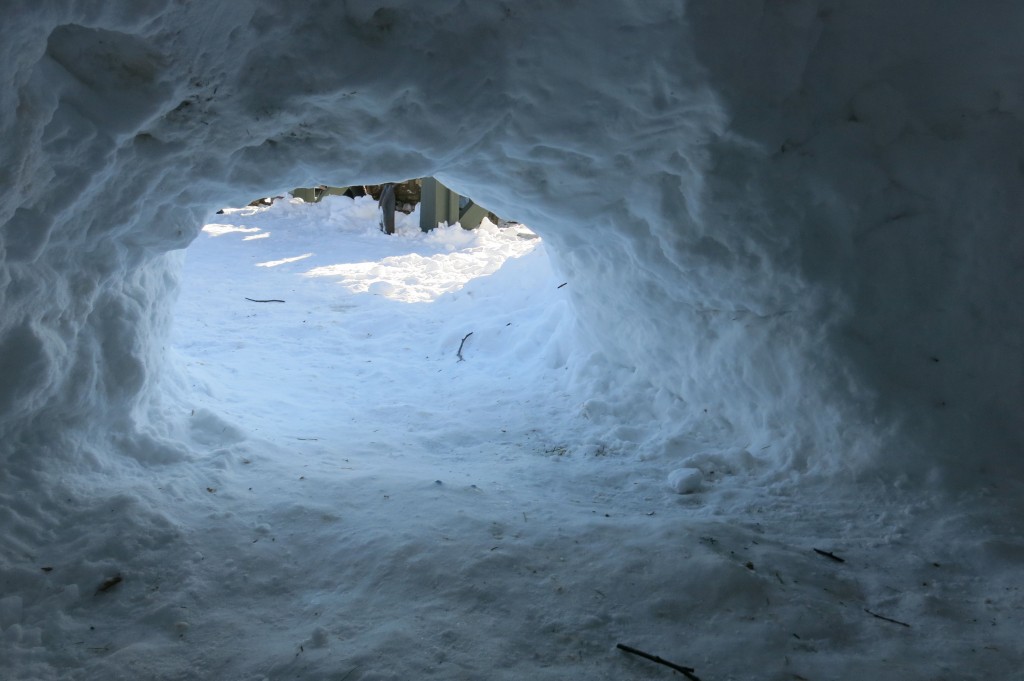 The view from inside the quinzhee.